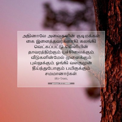 Picture 07 - ஏசாயா 37:27 TAMIRV - அதினாலே அவைகளின் - Bible Verse Picture