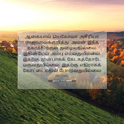 Picture 07 - ஏசாயா 37:33 TAMIRV - ஆகையால் யெகோவா - Bible Verse Picture