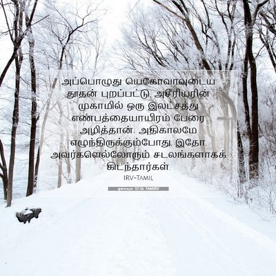 Picture 07 - ஏசாயா 37:36 TAMIRV - அப்பொழுது - Bible Verse Picture