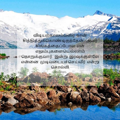Picture 07 - ஏசாயா 38:13 TAMIRV - விடியற்காலம்வரை - Bible Verse Picture