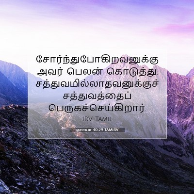 Picture 07 - ஏசாயா 40:29 TAMIRV -  - Bible Verse Picture