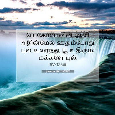 Picture 07 - ஏசாயா 40:7 TAMIRV - யெகோவாவின் ஆவி - Bible Verse Picture