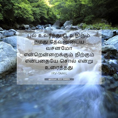 Picture 07 - ஏசாயா 40:8 TAMIRV - புல் உலர்ந்து பூ - Bible Verse Picture