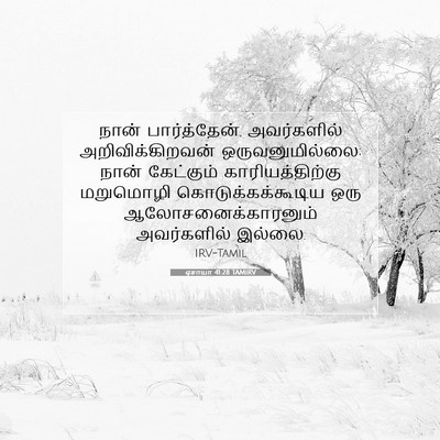 Picture 07 - ஏசாயா 41:28 TAMIRV - நான் பார்த்தேன், - Bible Verse Picture