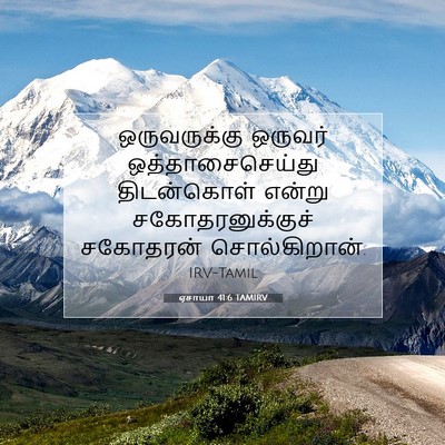 Picture 07 - ஏசாயா 41:6 TAMIRV - ஒருவருக்கு ஒருவர் - Bible Verse Picture