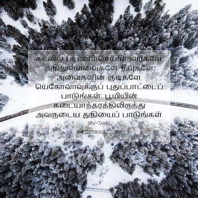 Picture 07 - ஏசாயா 42:10 TAMIRV - கடலில் - Bible Verse Picture