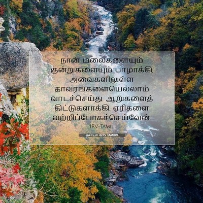 Picture 07 - ஏசாயா 42:15 TAMIRV - நான் மலைகளையும் - Bible Verse Picture