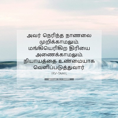 Picture 07 - ஏசாயா 42:3 TAMIRV - அவர் நெரிந்த - Bible Verse Picture