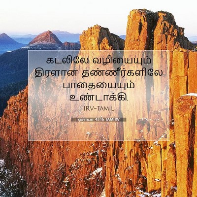 Picture 07 - ஏசாயா 43:16 TAMIRV - கடலிலே வழியையும் - Bible Verse Picture