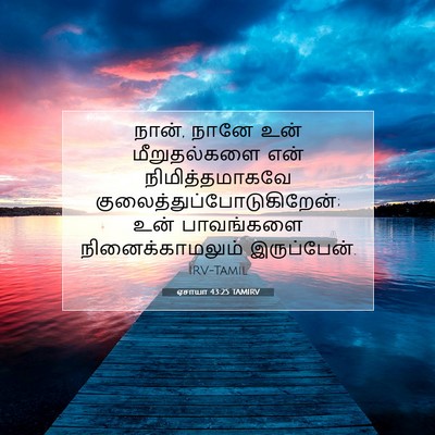 Picture 07 - ஏசாயா 43:25 TAMIRV - நான், நானே உன் - Bible Verse Picture