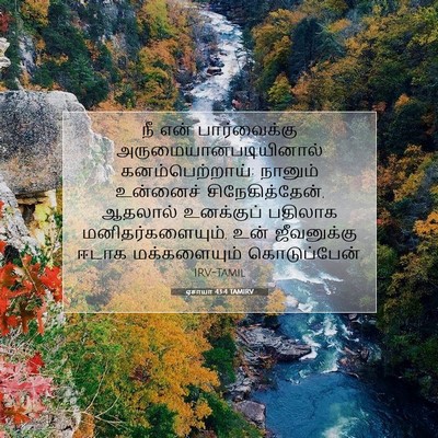 Picture 07 - ஏசாயா 43:4 TAMIRV - நீ என் பார்வைக்கு - Bible Verse Picture