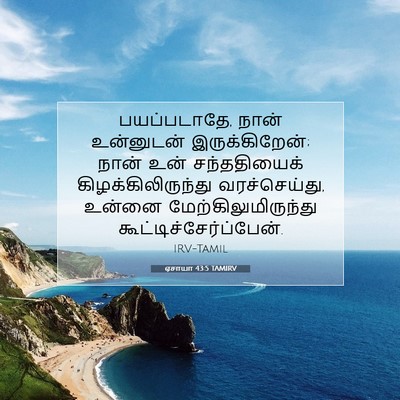 Picture 07 - ஏசாயா 43:5 TAMIRV - பயப்படாதே, நான் - Bible Verse Picture