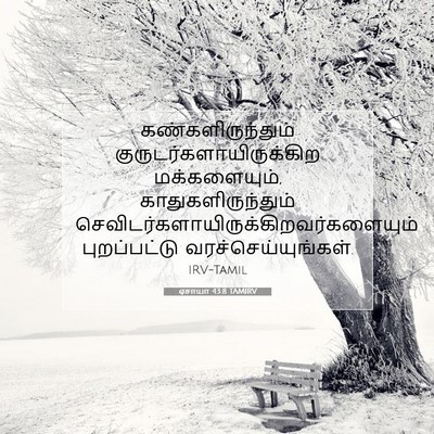 Picture 07 - ஏசாயா 43:8 TAMIRV - கண்களிருந்தும் - Bible Verse Picture