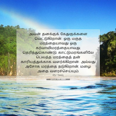 Picture 07 - ஏசாயா 44:14 TAMIRV - அவன் தனக்குக் - Bible Verse Picture