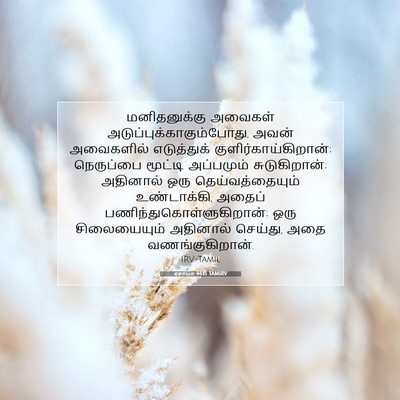 Picture 07 - ஏசாயா 44:15 TAMIRV - மனிதனுக்கு அவைகள் - Bible Verse Picture