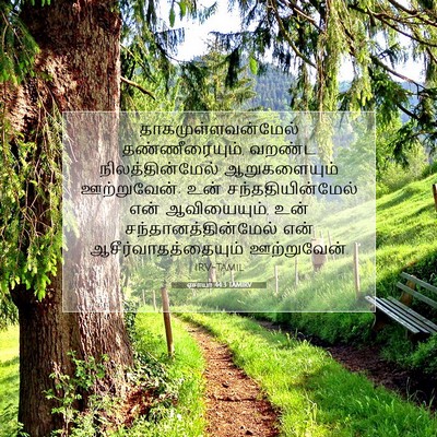 Picture 07 - ஏசாயா 44:3 TAMIRV - தாகமுள்ளவன்மேல் - Bible Verse Picture