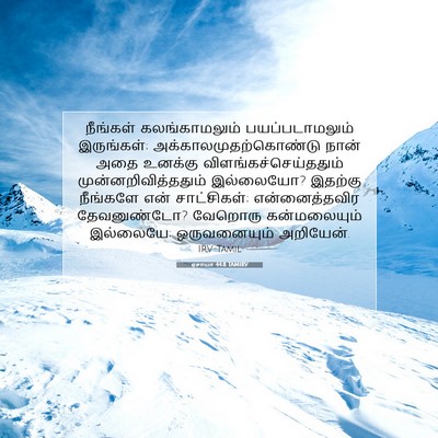 Picture 07 - ஏசாயா 44:8 TAMIRV - நீங்கள் - Bible Verse Picture