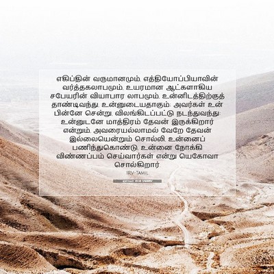 Picture 07 - ஏசாயா 45:14 TAMIRV - எகிப்தின் - Bible Verse Picture