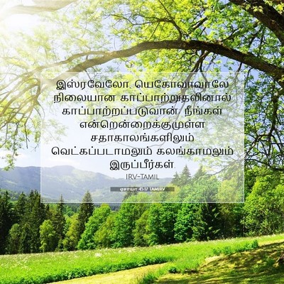 Picture 07 - ஏசாயா 45:17 TAMIRV - இஸ்ரவேலோ, - Bible Verse Picture