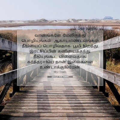 Picture 07 - ஏசாயா 45:8 TAMIRV - வானங்களே, - Bible Verse Picture