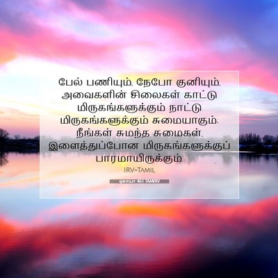 Picture 07 - ஏசாயா 46:1 TAMIRV - பேல் பணியும், நேபோ - Bible Verse Picture