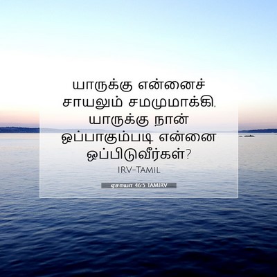 Picture 07 - ஏசாயா 46:5 TAMIRV - யாருக்கு என்னைச் - Bible Verse Picture