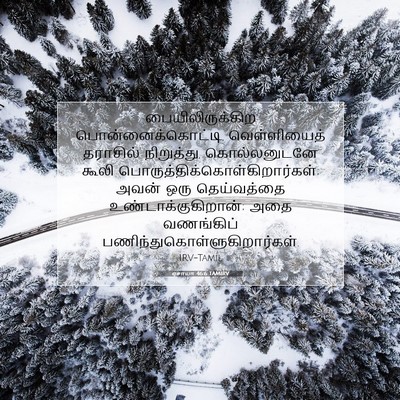 Picture 07 - ஏசாயா 46:6 TAMIRV - பையிலிருக்கிற - Bible Verse Picture