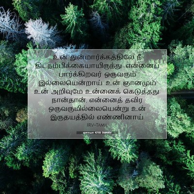 Picture 07 - ஏசாயா 47:10 TAMIRV - உன் - Bible Verse Picture