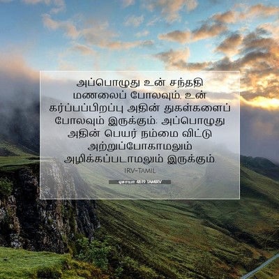 Picture 07 - ஏசாயா 48:19 TAMIRV - அப்பொழுது உன் - Bible Verse Picture
