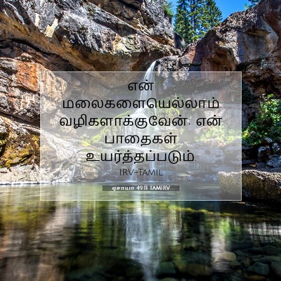 Picture 07 - ஏசாயா 49:11 TAMIRV - என் - Bible Verse Picture