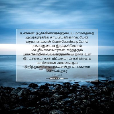 Picture 07 - ஏசாயா 49:26 TAMIRV - உன்னை - Bible Verse Picture