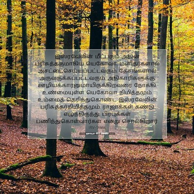 Picture 07 - ஏசாயா 49:7 TAMIRV - இஸ்ரவேலின் - Bible Verse Picture