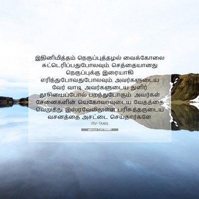 Picture 07 - ஏசாயா 5:24 TAMIRV - இதினிமித்தம் - Bible Verse Picture