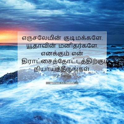Picture 07 - ஏசாயா 5:3 TAMIRV - எருசலேமின் - Bible Verse Picture
