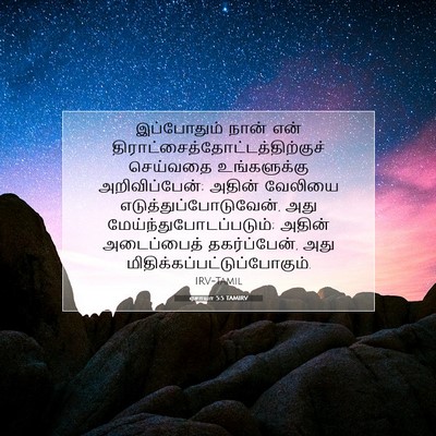 Picture 07 - ஏசாயா 5:5 TAMIRV - இப்போதும் நான் - Bible Verse Picture