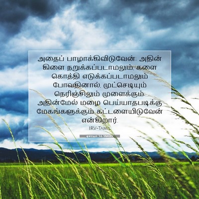 Picture 07 - ஏசாயா 5:6 TAMIRV - அதைப் - Bible Verse Picture