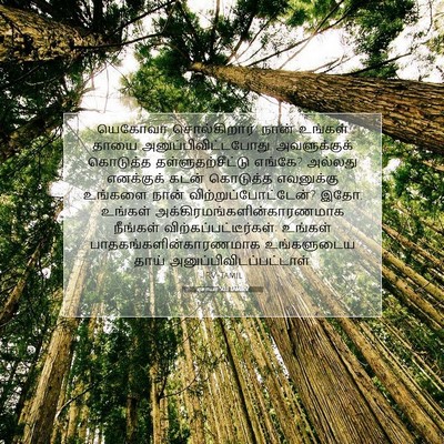 Picture 07 - ஏசாயா 50:1 TAMIRV - யெகோவா - Bible Verse Picture