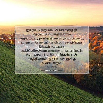 Picture 07 - ஏசாயா 50:11 TAMIRV - இதோ, நெருப்பைக் - Bible Verse Picture
