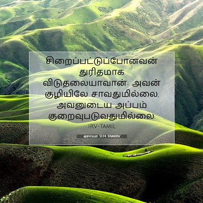 Picture 07 - ஏசாயா 51:14 TAMIRV -  - Bible Verse Picture