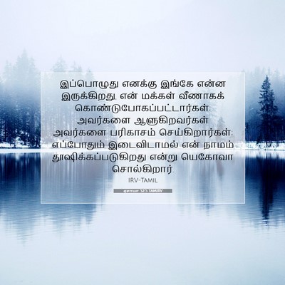 Picture 07 - ஏசாயா 52:5 TAMIRV - இப்பொழுது எனக்கு - Bible Verse Picture