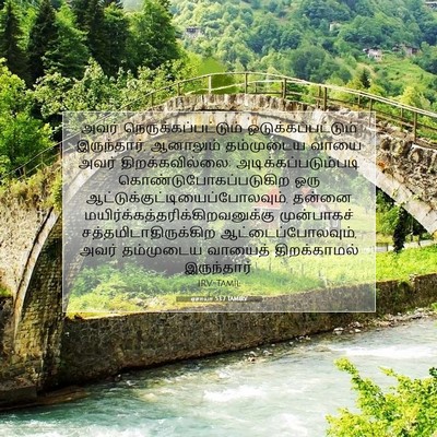 Picture 07 - ஏசாயா 53:7 TAMIRV - அவர் - Bible Verse Picture