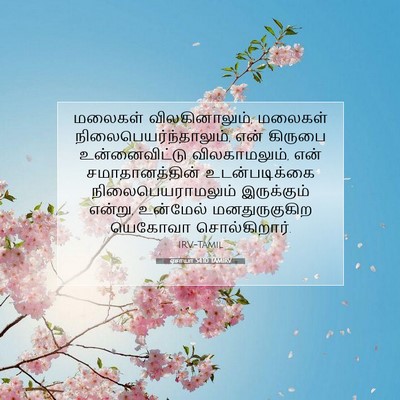Picture 07 - ஏசாயா 54:10 TAMIRV - மலைகள் - Bible Verse Picture