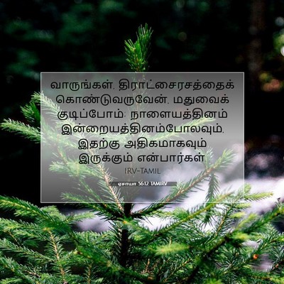 Picture 07 - ஏசாயா 56:12 TAMIRV - வாருங்கள், - Bible Verse Picture