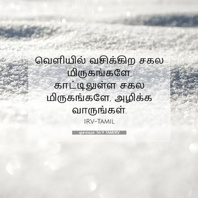 Picture 07 - ஏசாயா 56:9 TAMIRV - வெளியில் வசிக்கிற - Bible Verse Picture