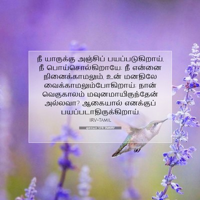 Picture 07 - ஏசாயா 57:11 TAMIRV - நீ யாருக்கு - Bible Verse Picture