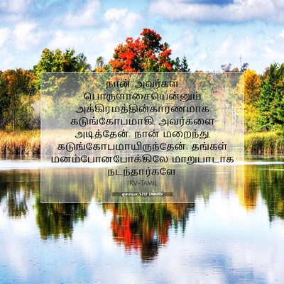 Picture 07 - ஏசாயா 57:17 TAMIRV - நான் அவர்கள் - Bible Verse Picture