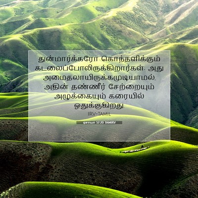 Picture 07 - ஏசாயா 57:20 TAMIRV - துன்மார்க்கரோ - Bible Verse Picture