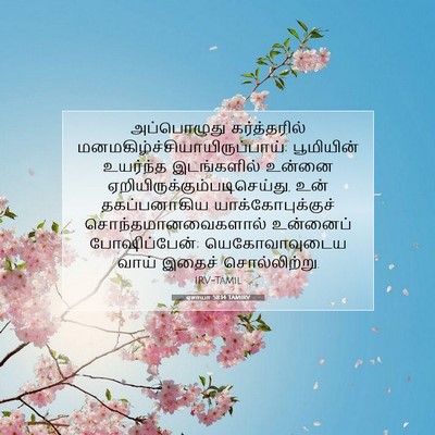 Picture 07 - ஏசாயா 58:14 TAMIRV - அப்பொழுது - Bible Verse Picture