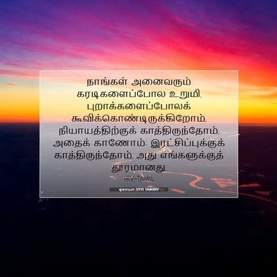 Picture 07 - ஏசாயா 59:11 TAMIRV - நாங்கள் அனைவரும் - Bible Verse Picture