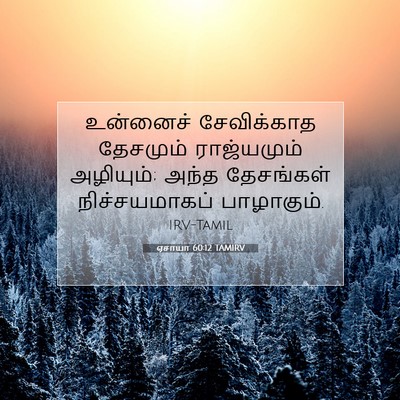 Picture 07 - ஏசாயா 60:12 TAMIRV - உன்னைச் சேவிக்காத - Bible Verse Picture